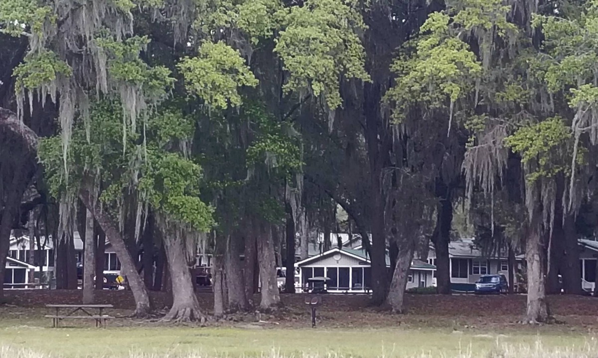 Salt Springs Cabin | Best lake view cottage #21 at Salt Springs Resort