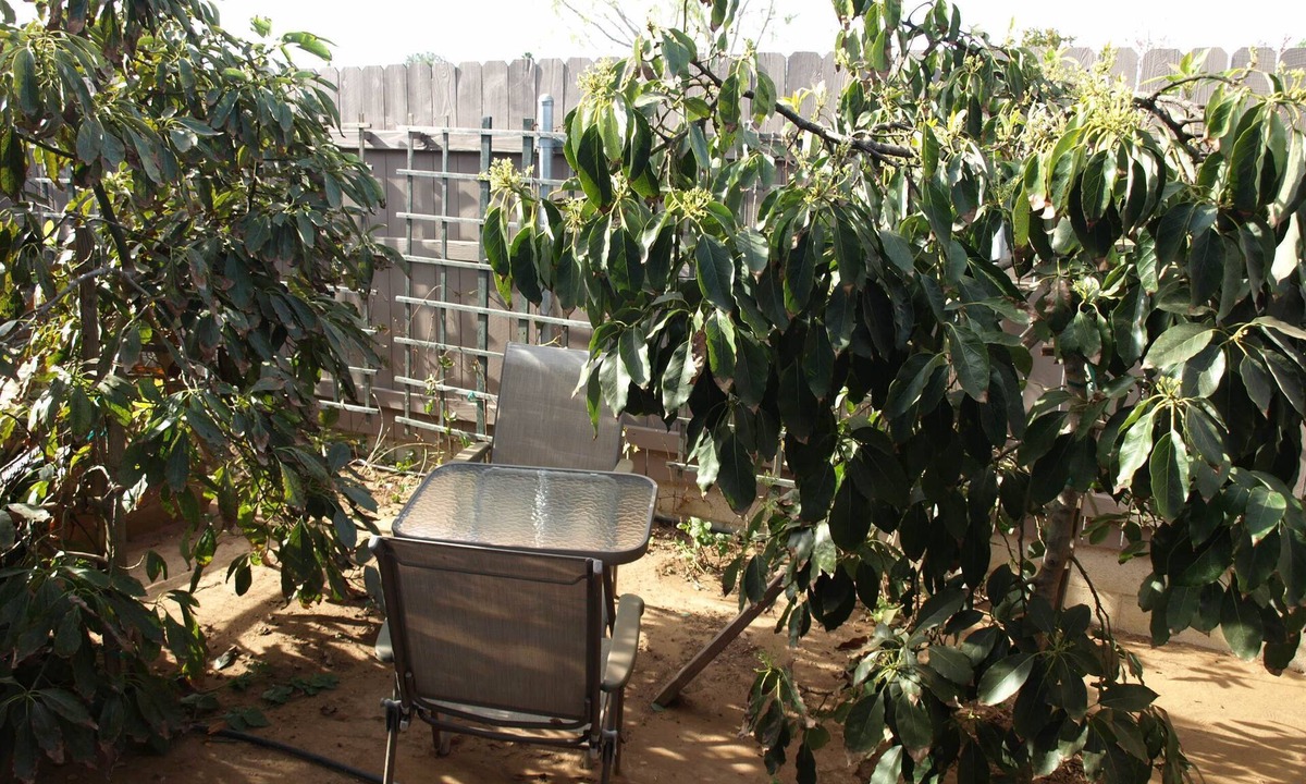 Clairemont House | Modern Luxury Guest House- Near Beaches, Bay, UCSD, Hospitals!