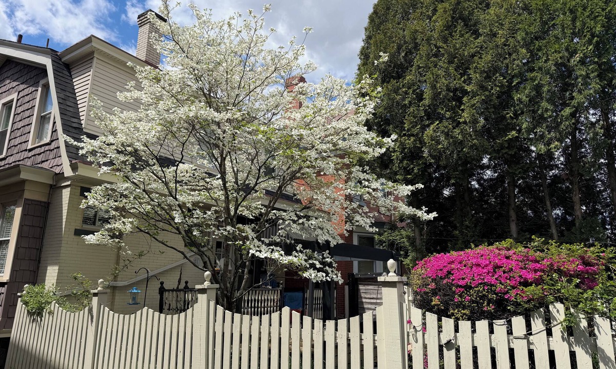 Dormont Apartment | NFL DRAFT PITTSBURGH - stay in Mr. Rogers Neighborhood!