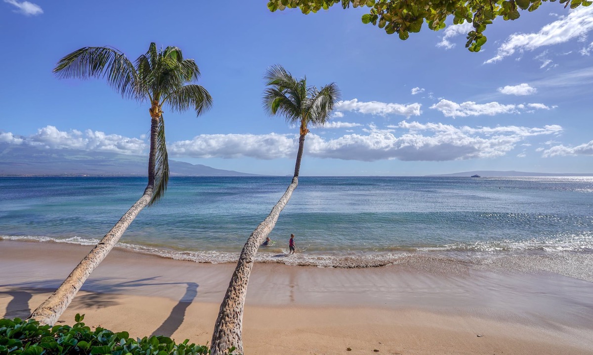 Maalaea Apartment | Suite Maui Paradise Condo