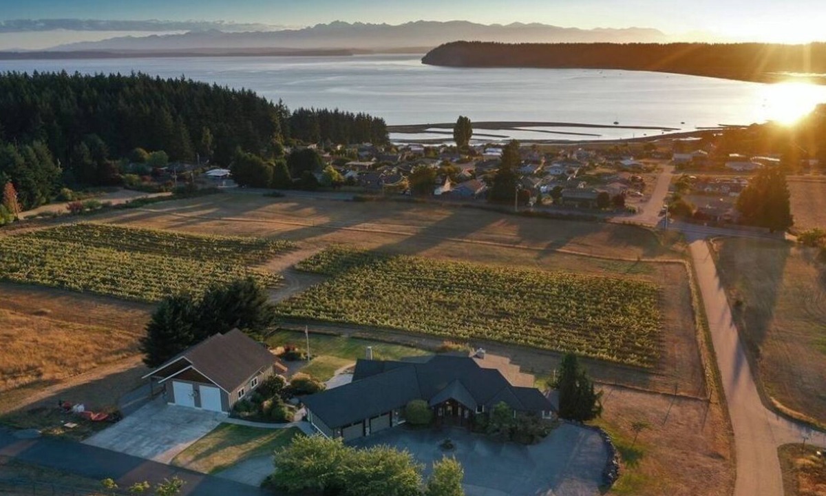 Clinton Villa | Vineyard Villa Bayview Getaway. Family Friends Gathering and Kids' Fun Paradise