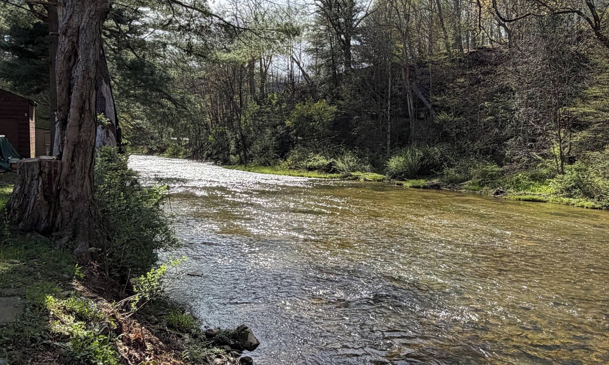East Hickory House | Waterfront Campfires With a Relaxing Creek View. Trout View Cottage near ANF.