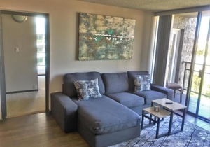 Beautiful Downtown San Diego 2 Bedroom Apartment
