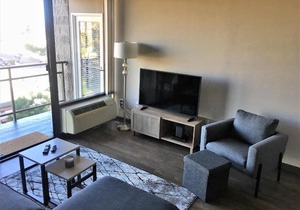 Beautiful Downtown San Diego 2 Bedroom Apartment