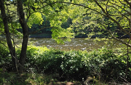 Roscoe House | A peaceful riverside getaway in the heart of Roscoe.