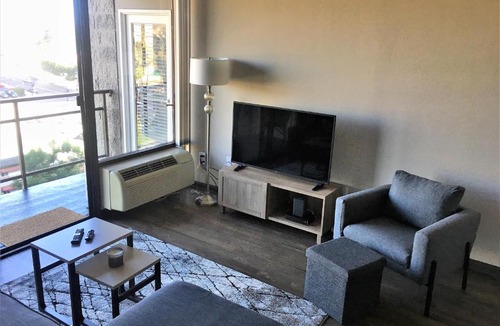 Civic Core Apartment | Beautiful Downtown San Diego 2 Bedroom Apartment