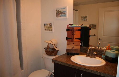 Civic Core Apartment | Beautiful upscale luxury apartment walking distance from Petco park & Gaslamp