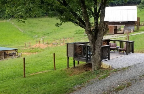 Bryson City Bed & Breakfast | "Buffalo" Guestroom at farmstay glamping bed & breakfast on 11 park-like acres