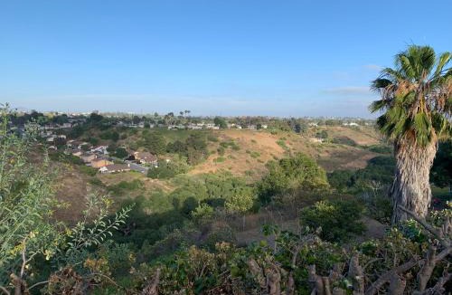 Clairemont House | Canyon View Cutie
