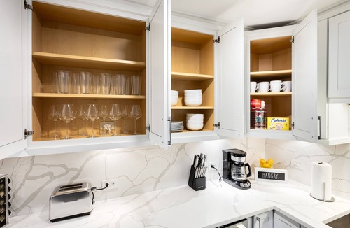Ranch Triangle House | GROUP LUX LINCOLN PARK 4BD/4.5BA Home +parking