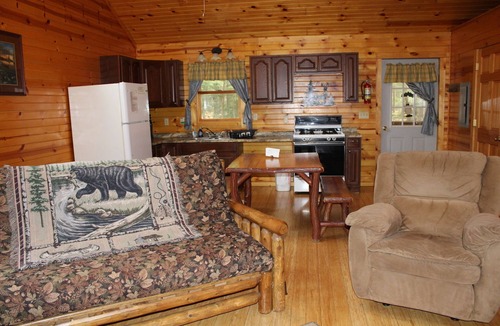 Clarington Cabin | Handicap Cabin with hot tub ~ NO PETS