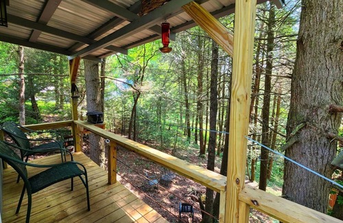 Coalmont House | Hemlock Cabin at Ranger Creek - Near Coalmont OHV Park!