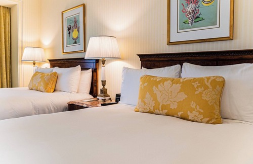 Civic Core Hotel | Inviting Room Right in the Vibrant Downtown Life | 2 Family Ready Rooms