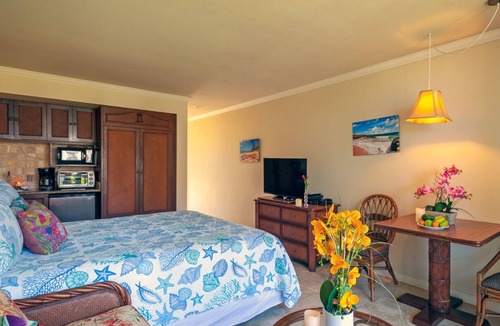 Wailua Condo | Islander on the Beach 259-walk to everything, AC, ocean view, cute for couple