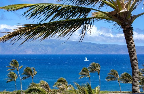 Montage Kapalua Bay Condo | Kapalua Bay Resort | Ocean View 9 BR | Car Incl. w/6+ Nights | MON ML-3821 by KBM