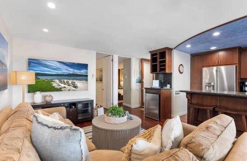 Beach Barber Tract Condo | LaJolla whole Beach house spa and ocean view.