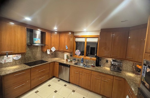 Squirrel Hill South House | Luxurious and Spacious 4-bedroom house in Sq. Hill near downtown