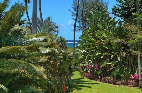 Kilauea House | Moloaa Bay Cottage, A/C, 1 BD/1 BA with Den & loft