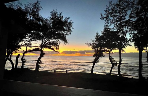 Wailua Apartment | Oceanfront Studio at Islander on the Beach #325