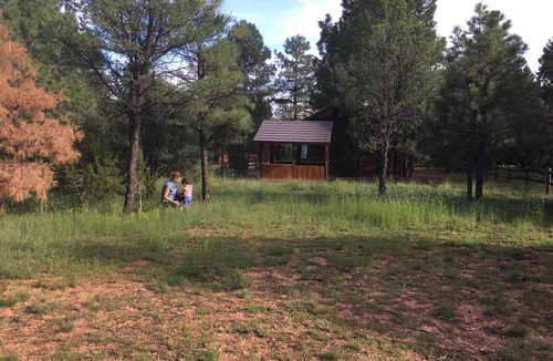 Overgaard Cabin | Quality Time at a LilyBear Cabin