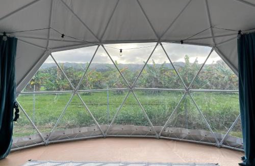 Laie Other | Spacious Dome Tent Glamping Camping Laie North Shore Oahu