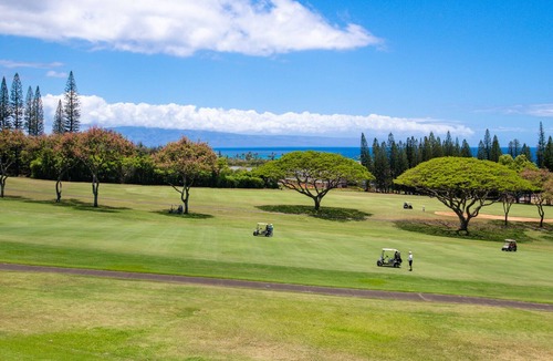 Kapalua Villa | SPRING DEALS Kapalua Golf Villas - Tranquil, romantic, AC, w/ocean & golf views!