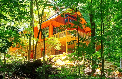 Franklin Apartment | Timber Ridge Cabin Apartment, Forested Retreat Close to Natchez Trace, Franklin!
