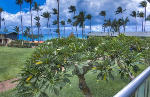 Napili Villa | Ultimate Beach Escape! Outdoor Pool, Restaurant, Near Whalers Village!