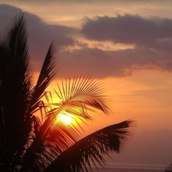 Luxe Oceanview Hideaway on Wailea Old Blue Golf Course