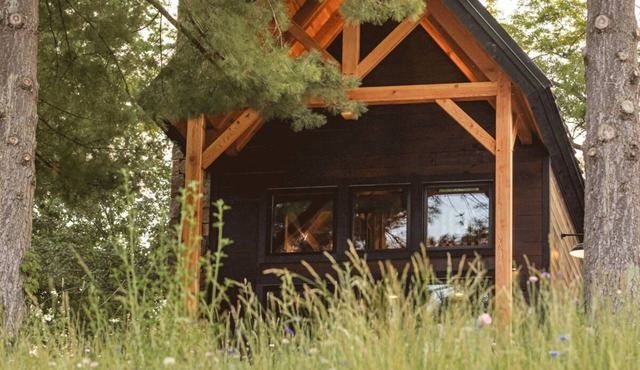 #3 Pinecone Haven