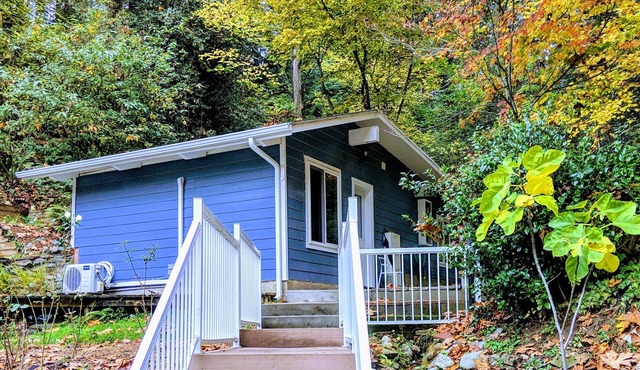 A private newly renovated cabin surrounded by trees