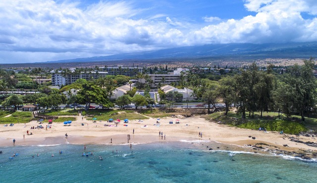 AEI at Maui Banyan
