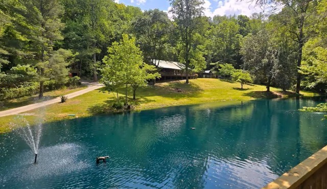 Alpine Acres is the place to be!
