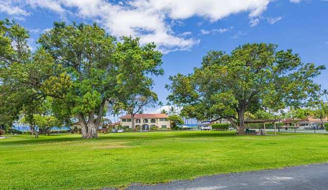 Beautiful Puamana Property 161-2