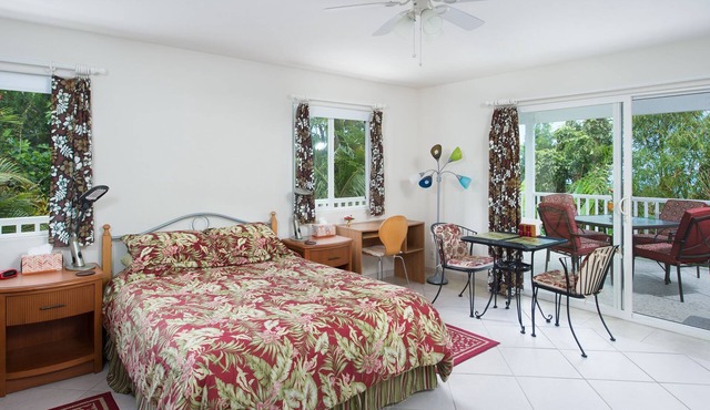 Beautiful, Spacious, Garden View Studio with Kitchenette. Wir Sprechen Deutsch.