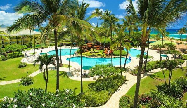 BEST Ocean View on Property 2 Queen beds Beachfront Resort, restaurant's on site