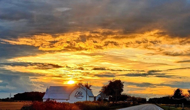 Buckeye Bungalow 2 Park-Beach-Bonfires Near everything & dog friendly