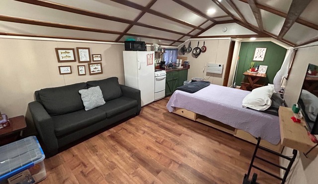 Cabin #4 - Studio with fireplace