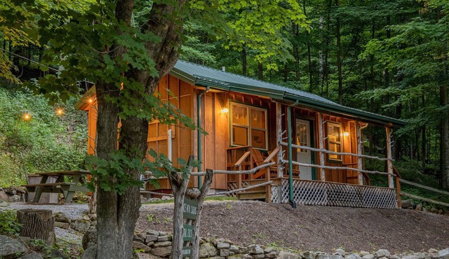Cabin in the woods w/WIFI. >1 mi to Mon. Forest