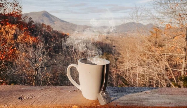Cabin with Amazing View near Nat’l Park