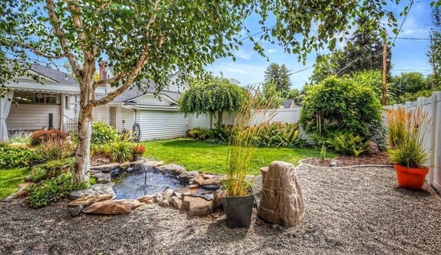 Centrally located, family and furry friendly fun!
