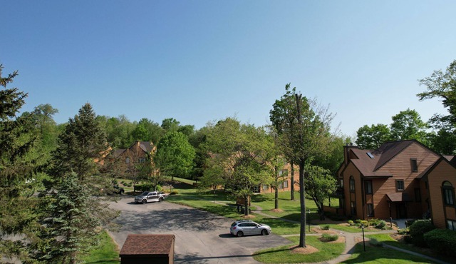 Charming 3BD Condo Mt Retreat Near Seven Springs