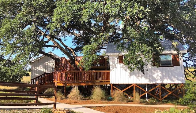 Charming Texas Tree House with Tranquil Views Ideal for Glamping near Austin in Dripping Springs