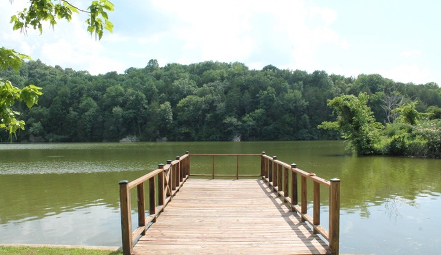 Clementine Cottage- Quiet Charming Cottage on Lincoln Lake