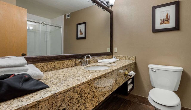 Comfort Suites near Route 66