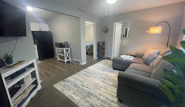 Cozy 1-bedroom apartment in East Peoria