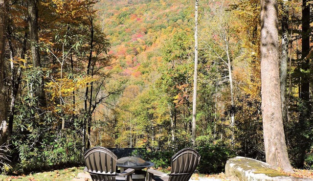 Cozy cabin, Babbling Brook & Mountain View w/fast Wi-Fi