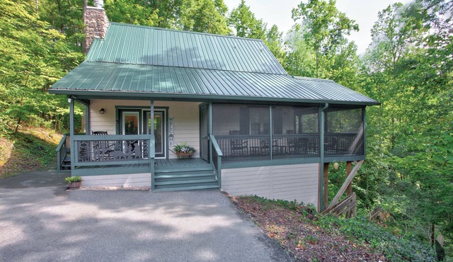 Cozy cabin with mtn view and an awesome media room in charming Townsend.