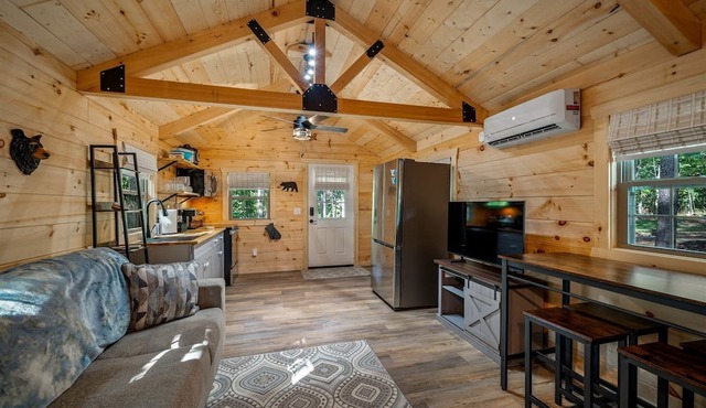 Cozy Woodland Cabin Escape for Families, Friends & Retreats in Mentone, Alabama
