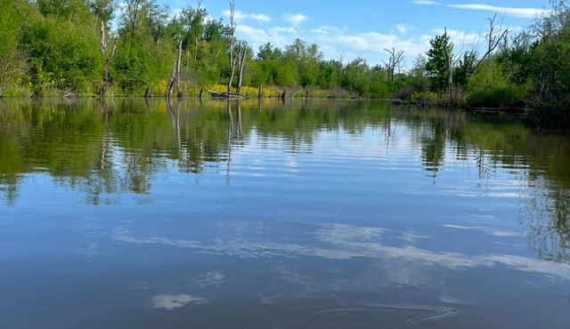 Dave’s River House